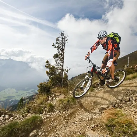 In Area In Chalet Leogang