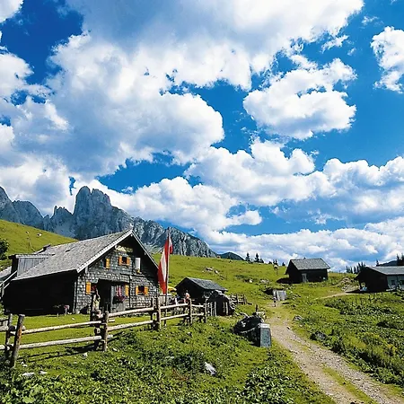 In Area In * Leogang