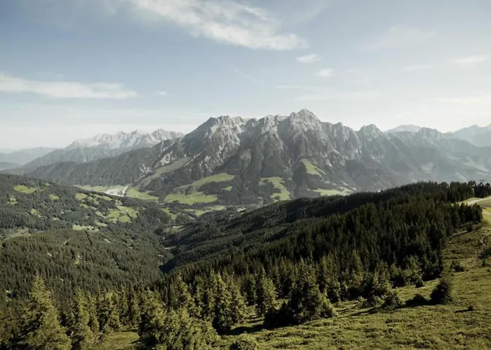 In Area In Domek alpejski Leogang