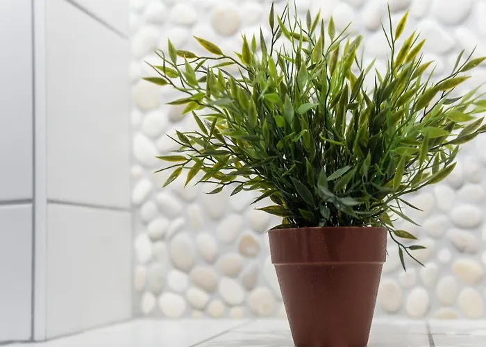 In Area In Domek alpejski *