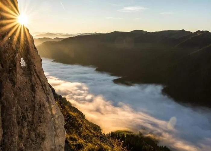 シャレー In Area In