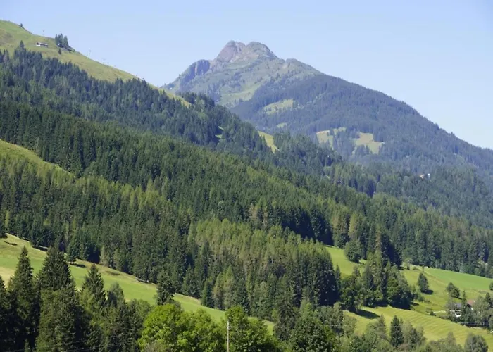 Domek alpejski In Area In Leogang