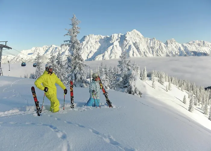 In Area In レオガング